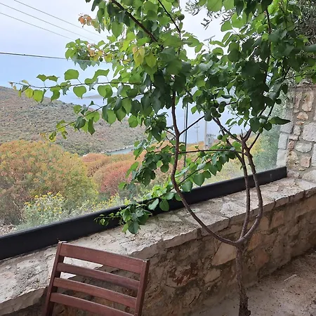 D Boutique Hotel Qëparo